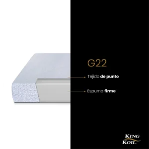 G22 despiece