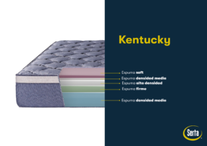 Kentucky Despiece