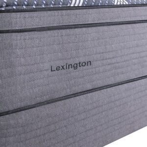 Lexington Acercamiento 2
