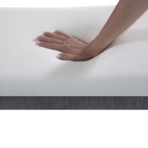 almohada gema zoom 2