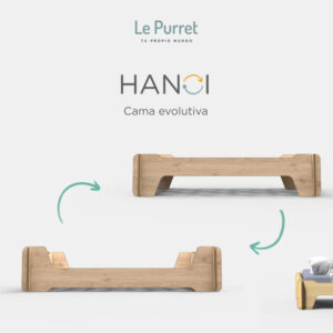 hanoi descr
